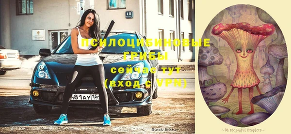 сатива Карталы