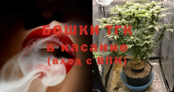сатива Карталы