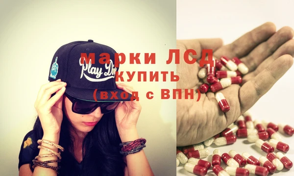 сатива Карталы