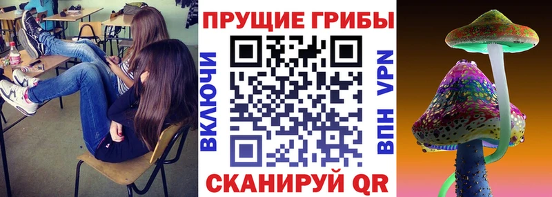 Галлюциногенные грибы ЛСД  Купить  Приволжский 
